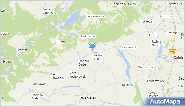 mapa Radziki Małe, Radziki Małe na mapie Targeo